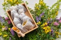 Wooden box of tea bags filled with dry medicinal herbs. Bunch of medicinal plants on wooden table. Top view Royalty Free Stock Photo