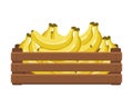 Wooden box with tropical bananas. Healthy food, fruits, agriculture illustration