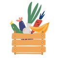 Wooden box with vegetables and fruits. Farmers market. Vegetable Company Logo in Box. Flat trendy vector illustration. Isolated Royalty Free Stock Photo