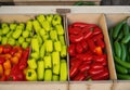 In wooden boxes, there are several fresh yellow, green, and red sweet bulgarian peppers. Royalty Free Stock Photo