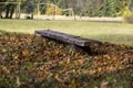 Wooden branchon the grass, covered with autumn leavess