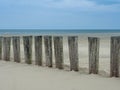 Wooden breakwater along the Dutch coast of Ameland