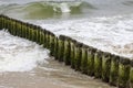 Wooden breakwater with Green algae in foaming water of Baltic Sea, Miedzyzdroje, Wolin Island, Poland Royalty Free Stock Photo