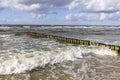 Wooden breakwater with Green algae in foaming water of Baltic Sea, Miedzyzdroje, Wolin Island, Poland Royalty Free Stock Photo