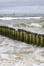 Wooden breakwater with Green algae in foaming water of Baltic Sea, Miedzyzdroje, Wolin Island, Poland Royalty Free Stock Photo