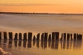 Wooden breakwater at sunset on the Baltic Sea Royalty Free Stock Photo