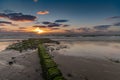 Wooden breakwater, sunset at the Baltic Sea, Sylt, Germany Royalty Free Stock Photo