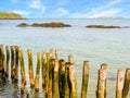 Wooden breakwaters in high flow