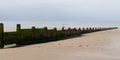 Wooden breakwaters timber on beach sand low tide Royalty Free Stock Photo