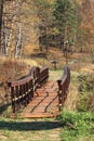 The wooden bridge Royalty Free Stock Photo