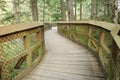 Wooden bridge Royalty Free Stock Photo