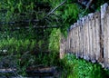 Wooden bridge