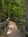 Wooden Bridge