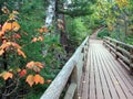 Wooden bridge Royalty Free Stock Photo