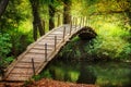 Wooden bridge accross the river. Rustic walkway with autumn leaves. Sunny day Royalty Free Stock Photo