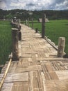 Wooden bridge across the field