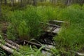 wooden bridge across a stream in the woods. Overcoming a small r Royalty Free Stock Photo