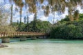 Wooden bridge across turquoise water in a tropical landscape, pines island new caledonia