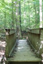 A wooden bridge on the Sal`s Branch Trail in Umstead State Park in North Carolina