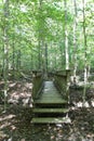 A wood bridge spanning a gully on Sal`s Branch Trail in William B. Umstead State Park in North Carolina