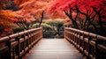 Wooden bridge in the autumn park, Japan autumn season, Kyoto Japan Royalty Free Stock Photo