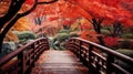 Wooden bridge in the autumn park, Japan autumn season, Kyoto Japan Royalty Free Stock Photo