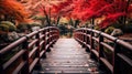 Wooden bridge in the autumn park, Japan autumn season, Kyoto Japan Royalty Free Stock Photo