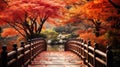 Wooden bridge in the autumn park, Japan autumn season, Kyoto Japan Royalty Free Stock Photo