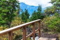 Wooden bridge and awesome landscape views of alpine trees and mountains Royalty Free Stock Photo