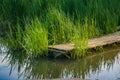 Wooden bridge on the background of a lake or river. Natural landscape near the water. Royalty Free Stock Photo