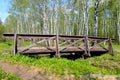 The wooden bridge in the birch forest Royalty Free Stock Photo