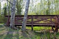 The wooden bridge in the birch forest Royalty Free Stock Photo