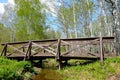 The wooden bridge in the birch forest Royalty Free Stock Photo