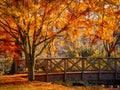 Wooden bridge in Bushy Park with autumn scene