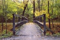 Wooden bridge in colourful autumn forest.