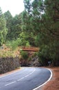 Wooden bridge crossing an asphalt road in a wooded area Royalty Free Stock Photo