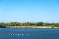 Wooden bridge crossing a river, Sardinia, Italy Royalty Free Stock Photo