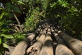 Wooden bridge crossing a small river made of small tree trunks in the jungle Royalty Free Stock Photo