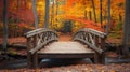 Wooden Bridge Crossing a Stream in an Autumn Forest Royalty Free Stock Photo