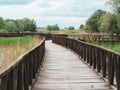 Wooden bridge crossing water surfaces over swamp area in Kopacki Rit national park, preserved nature in continental Croatia Royalty Free Stock Photo