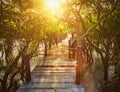 Wooden bridge in flooded rain forest jungle of mangrove trees Royalty Free Stock Photo