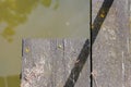 Wooden Bridge Foot Plank Covered in Lichen and Moss