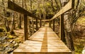 Wooden bridge, footbridge over Teixedelo stream in spring. El Tejedelo Forest. Requejo from Sanabria. Zamora. Spain.