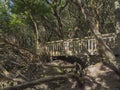 Wooden bridge on footpath Sendero de los Sentidos path od the se