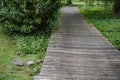 Wooden bridge in a forest along the trekking path Royalty Free Stock Photo
