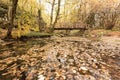 Wooden bridge in the forest. Autumn colorful landscape. Strandja mountain, Bulgaria during autumn. Royalty Free Stock Photo