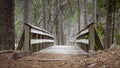 Wooden bridge in forest Royalty Free Stock Photo