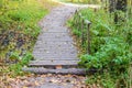 Wooden bridge in the forest covered with autumn foliage. Autumn landscape near the blue lake Royalty Free Stock Photo