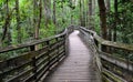 Wooden bridge in the forest, First Landing State Park, VA
