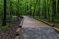 Wooden bridge - forest green blurred background